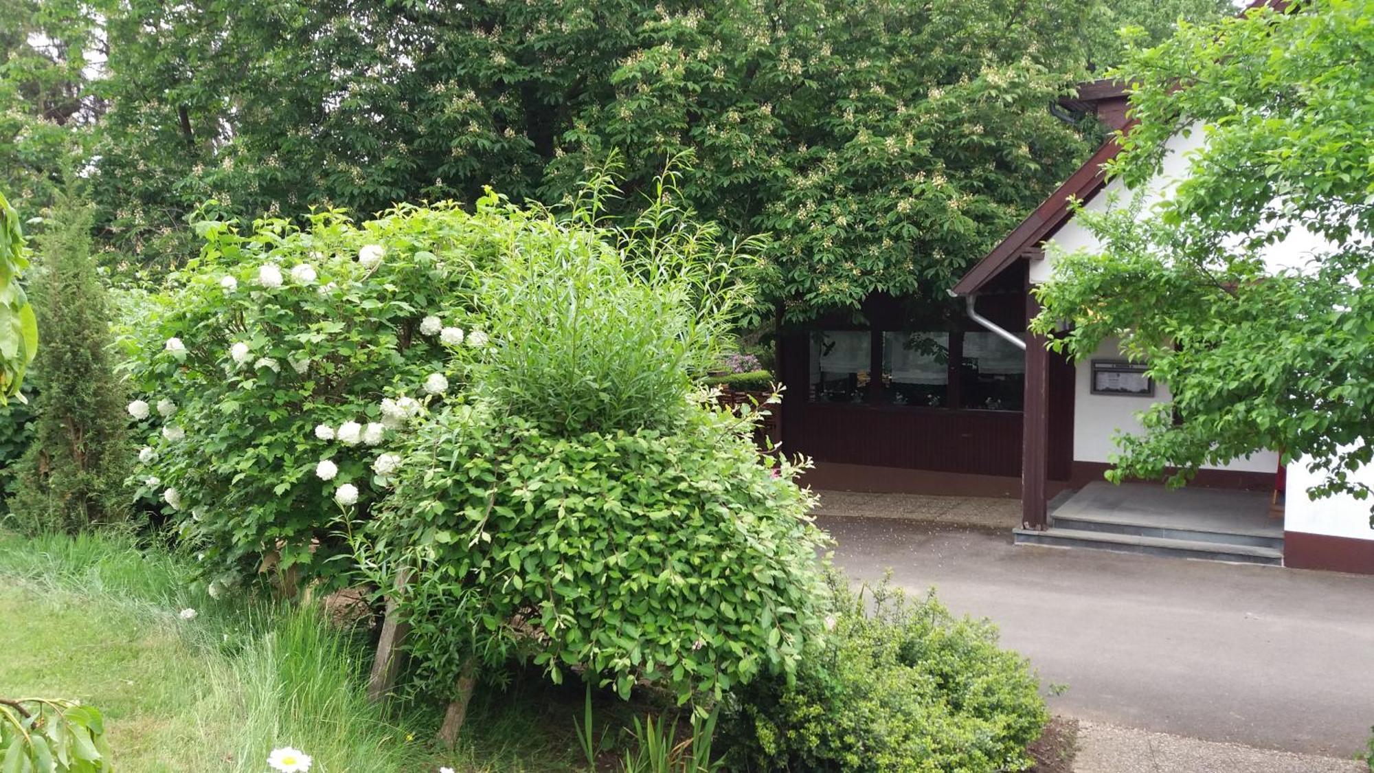 Forsthaus Alter Foerster Hotel Bad Oeynhausen Ngoại thất bức ảnh